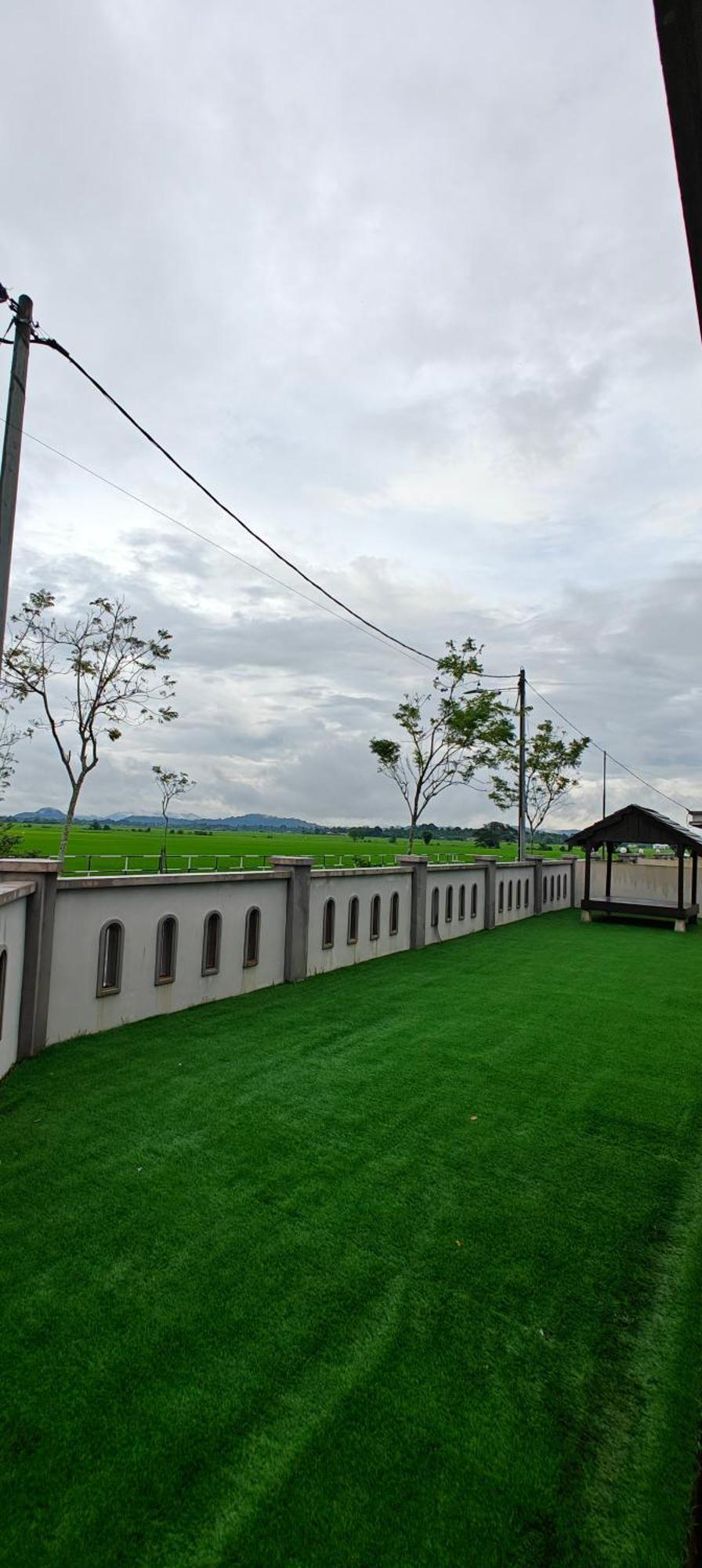 Tangqona Paddy View Wifi M0slim Only